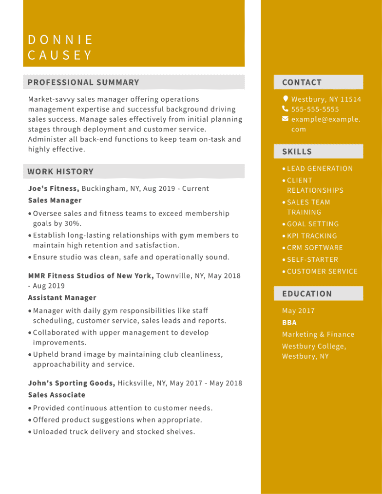 retail sales manager resume examples