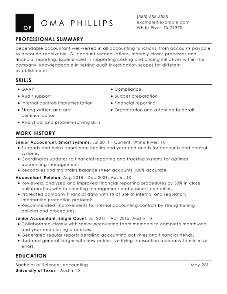 accounting resume summary statement examples