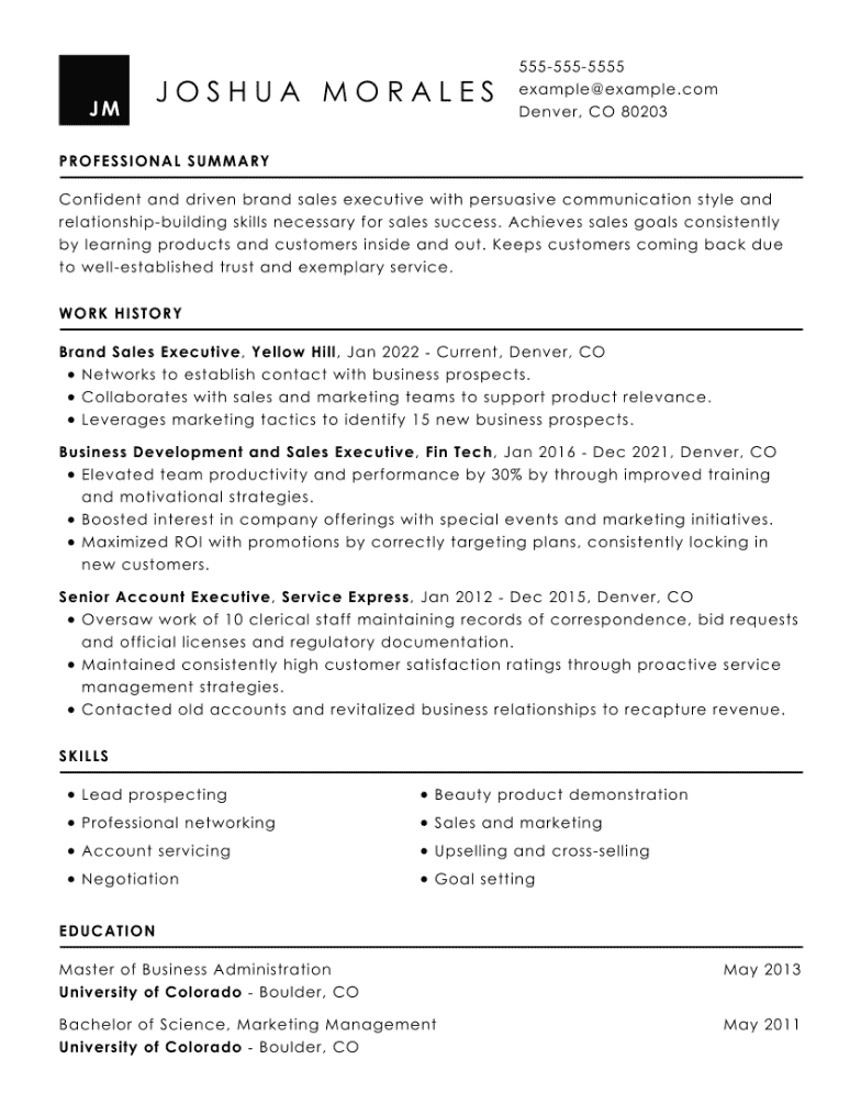 Executive Resume Examples 2024 Binny Cheslie