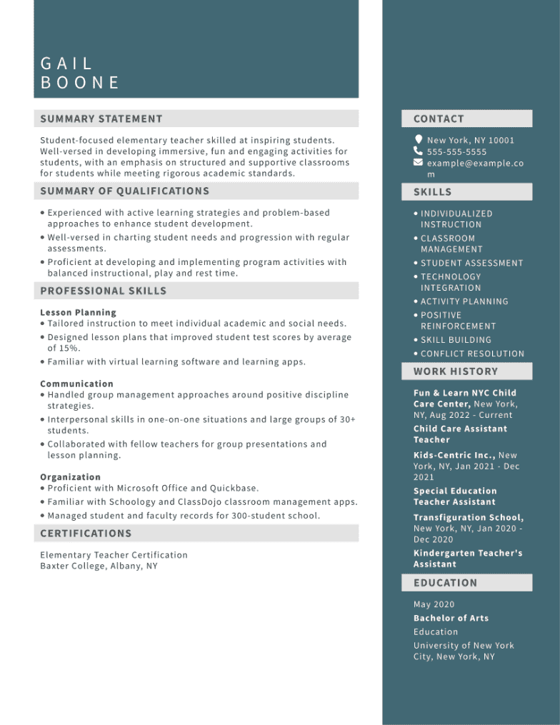  Functional Resume Examples Writing Tips