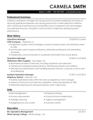 Operations Manager Resume Examples For 2023